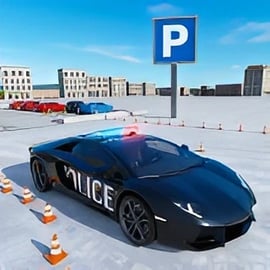 Police Car Parking